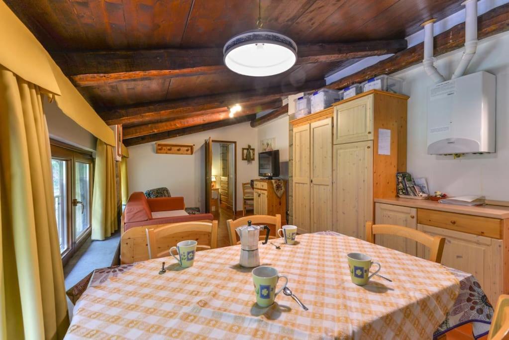 38-Volpini House In Amiata - Val D'Orcia, Saturnia, Feste&Sagre Castel del Piano  Bagian luar foto